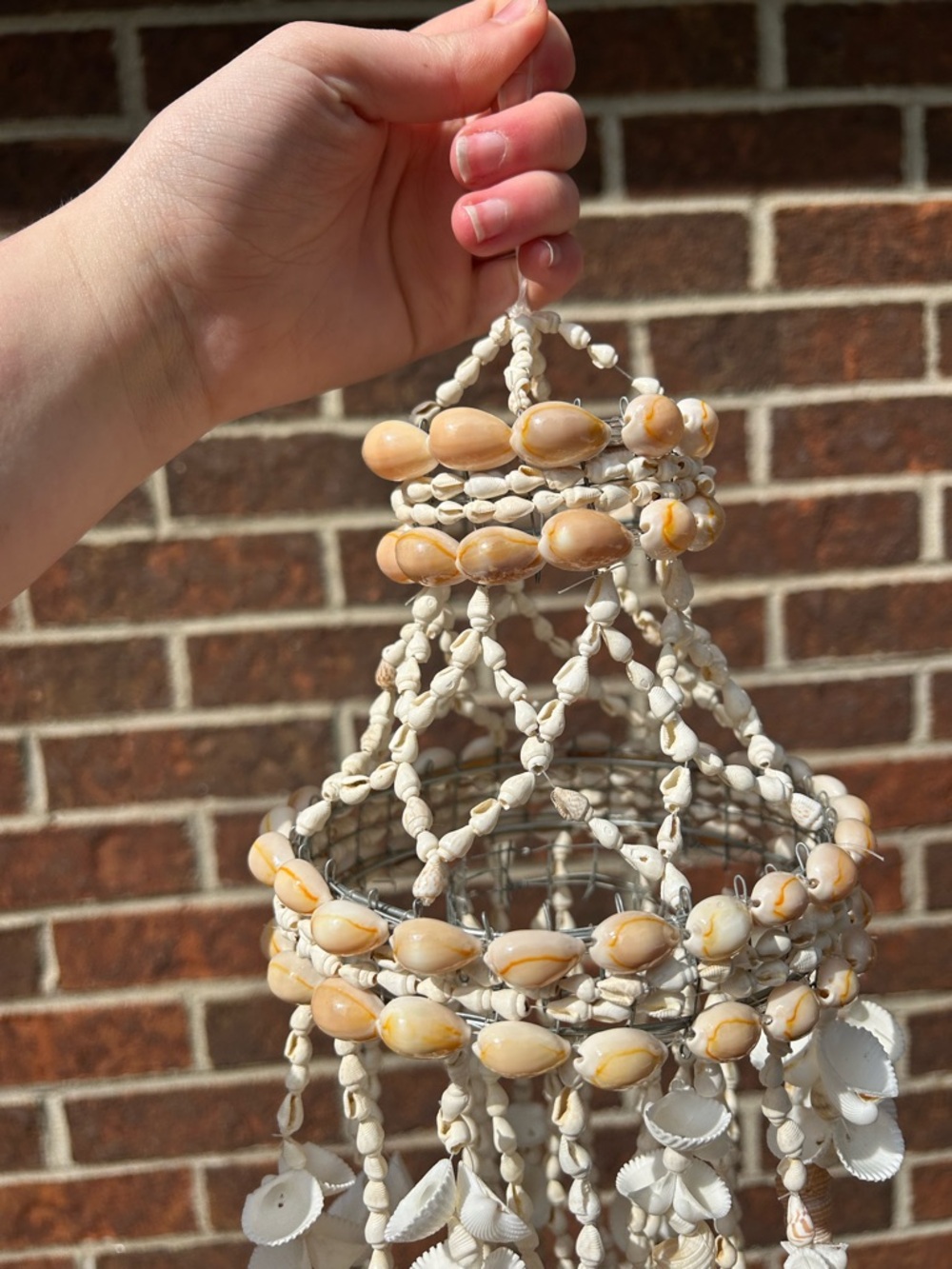 Shell chandelier - Picture 5 of 16